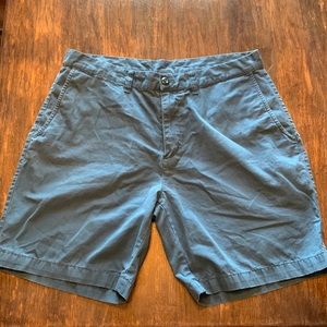 Patagonia Blue Cargo Shorts